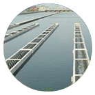 少妇被又大又粗又爽久久